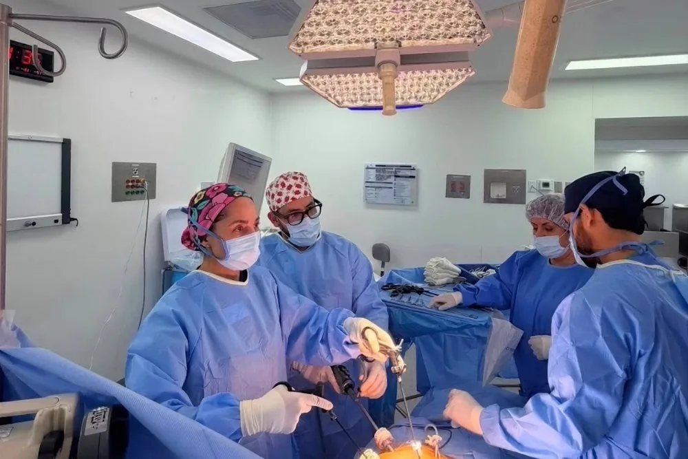 Hernias ventrales